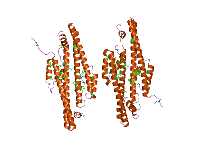 File:PDB 2gd5 EBI.png