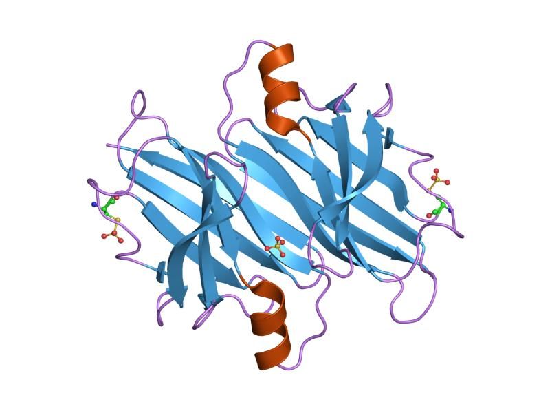 File:PDB 2h4e EBI.jpg