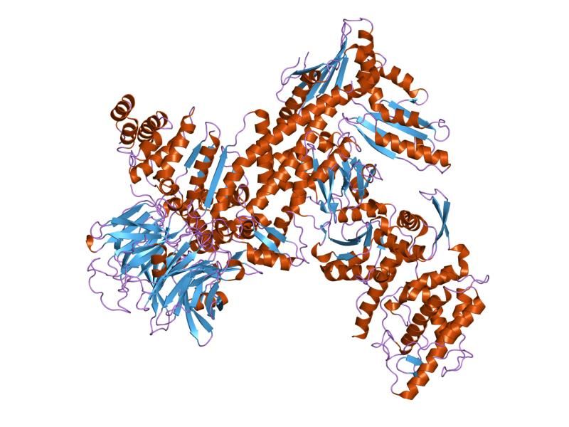 File:PDB 2p9l EBI.jpg