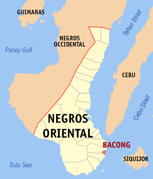 File:Ph locator negros oriental bacong.png