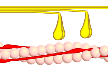 File:Querbrückenzyklus 4.png