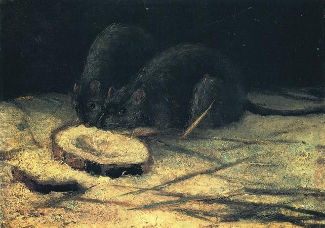 File:Van gogh-two rats-f177.jpg