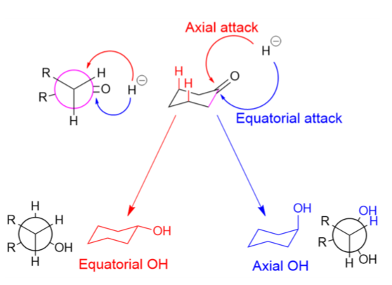 File:Axial vs equatorial.png