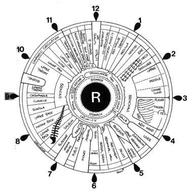 File:Iridology iris eye chart right mirror.jpg