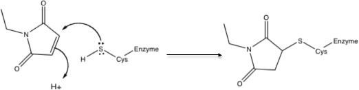 File:NEMmech.jpg