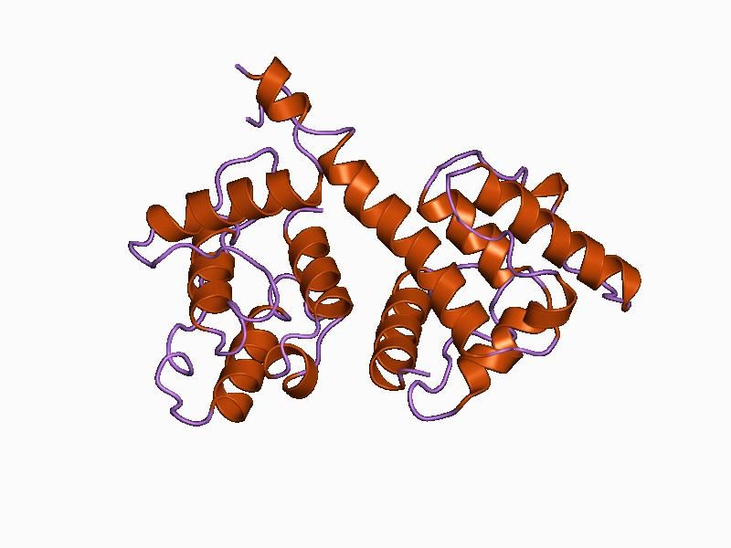 File:PDB 1aoa EBI.jpg