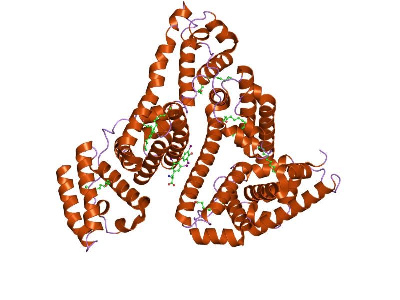 File:PDB 1hk4 EBI.jpg