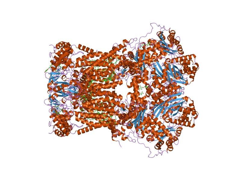 File:PDB 1ppj EBI.jpg