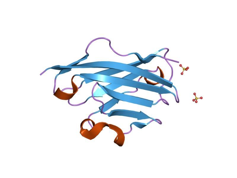 File:PDB 1py9 EBI.jpg