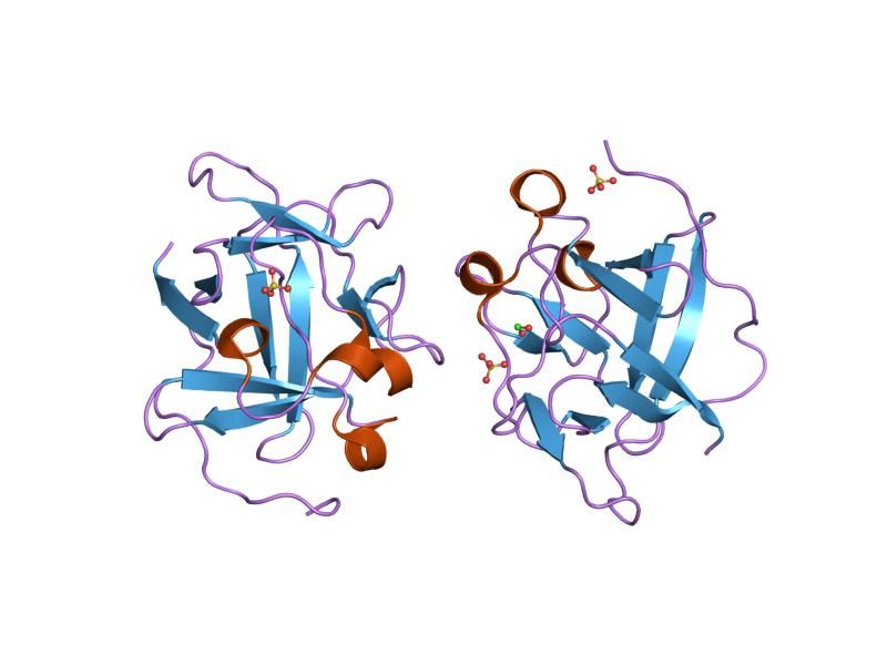 File:PDB 1pzz EBI.jpg