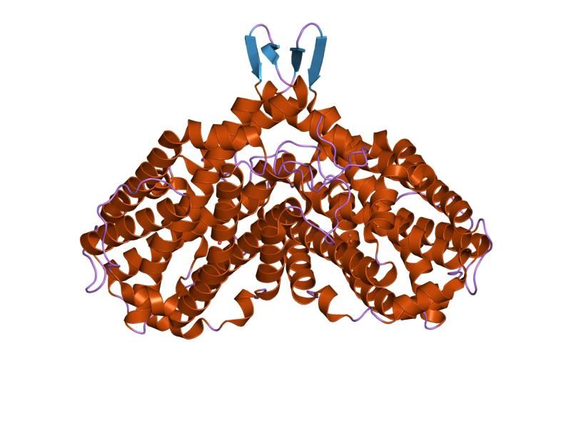 File:PDB 1rib EBI.jpg