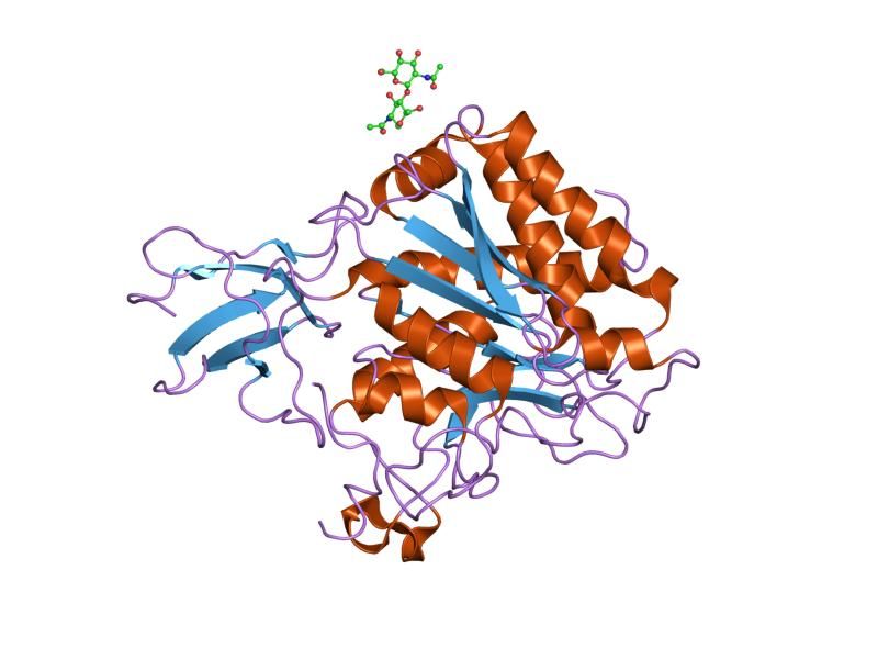 File:PDB 1uwy EBI.jpg