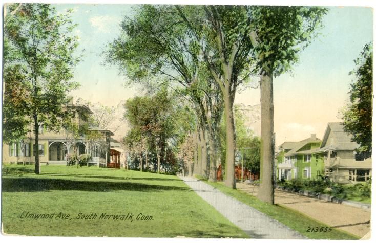 File:PostcardElmwoodAveSouthNorwalkCt.jpg