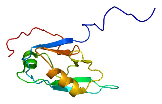 File:Protein GRIP2 PDB 1v62.png