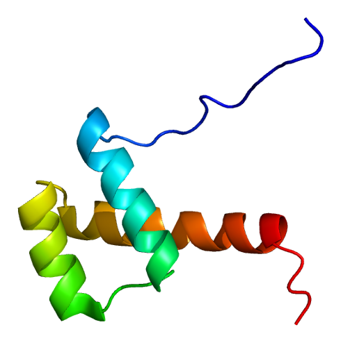 File:Protein HHEX PDB 2e1o.png