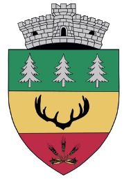 File:ROU SB Bradeni CoA1.jpg