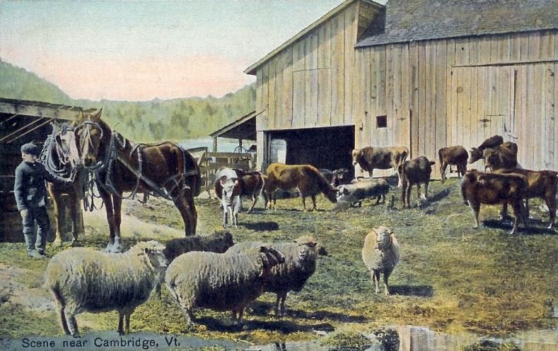 File:Scene near Cambridge, VT.jpg