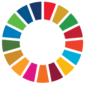 File:Sdg icon wheel rgb-290x290.png