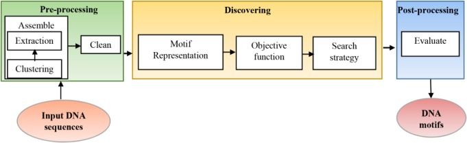 File:Sequence Motif Discovery.jpg