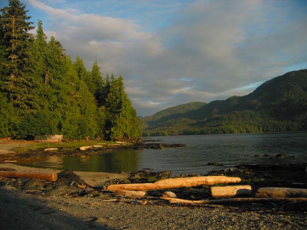 File:TongassForest1.jpg