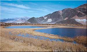 File:View north across Saratoga Spring ponds.jpg