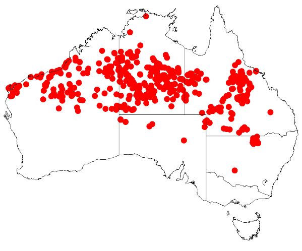 File:Acacia sericophyllaDistMap808.png