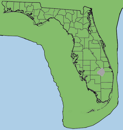 File:Florida 10000 years ago.png