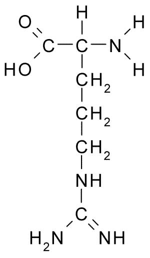 File:L-Arginine.png