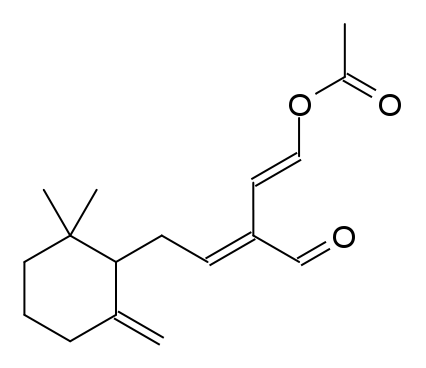 File:Onchidal.png