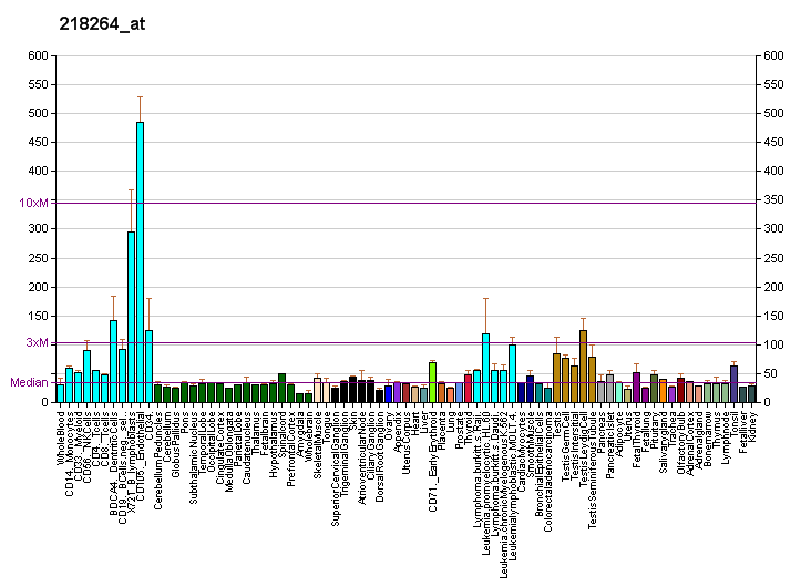 File:PBB GE BCCIP 218264 at fs.png