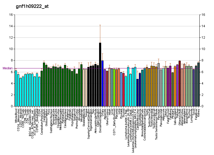 File:PBB GE CLDN20 gnf1h09222 at fs.png