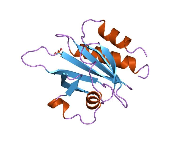 File:PDB 1fik EBI.jpg