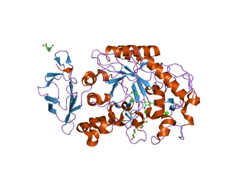 File:PDB 1xcx EBI.jpg