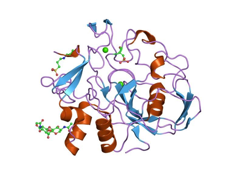 File:PDB 1y1j EBI.jpg