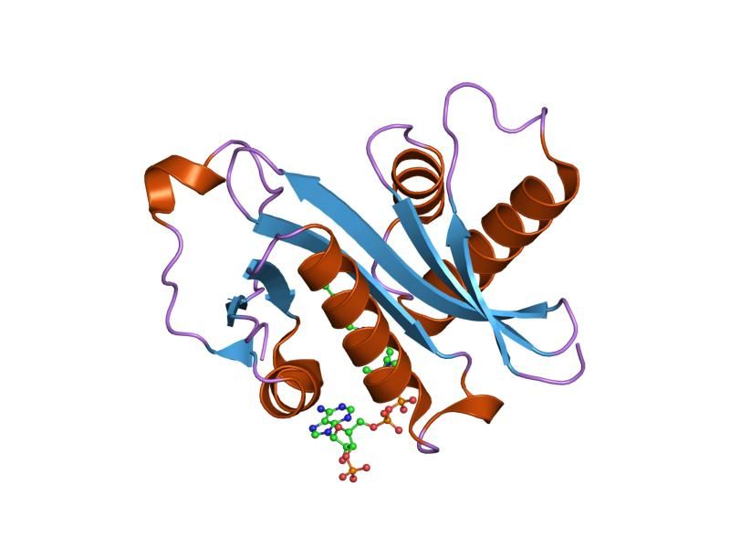 File:PDB 1z4r EBI.jpg