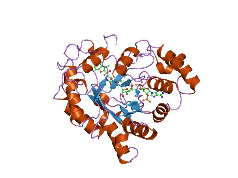 File:PDB 1z8a EBI.jpg