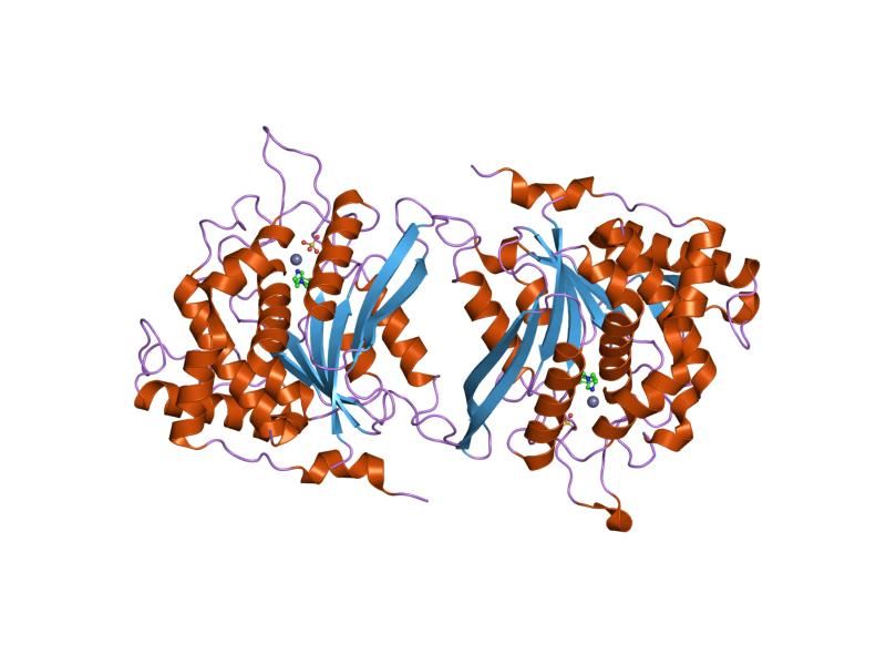 File:PDB 2afx EBI.jpg