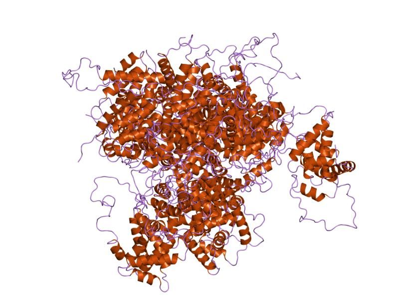 File:PDB 2bid EBI.jpg