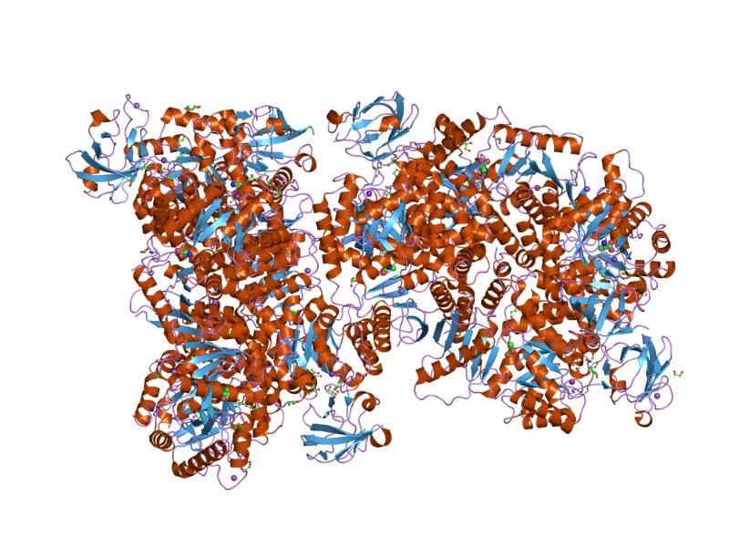 File:PDB 2g50 EBI.jpg