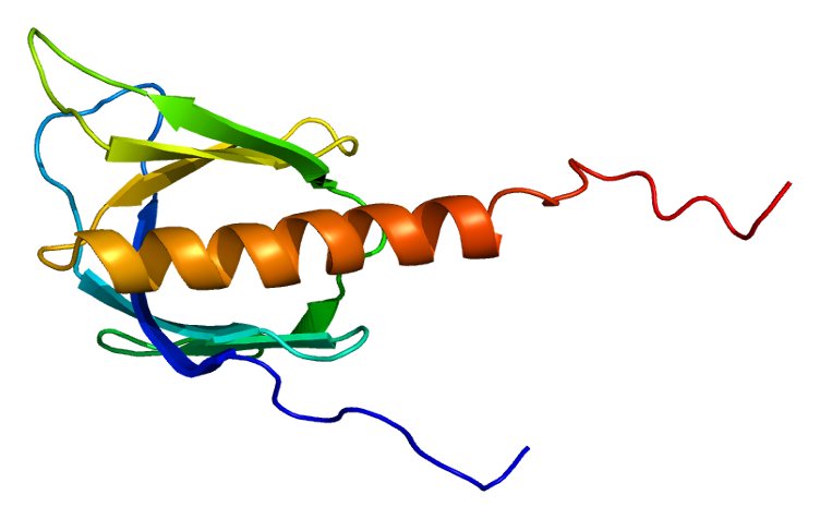 File:Protein ADRBK1 PDB 1bak.png