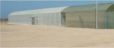 File:Seawater Greenhouse newly installed in Tenerife.jpg