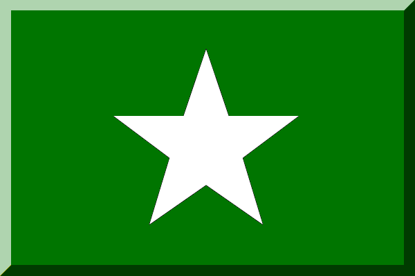 File:600px Verde con stella Bianca.png