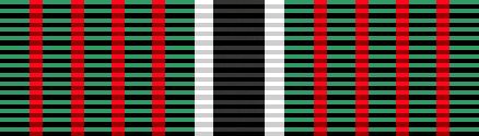 File:Combat Service Medal.JPG