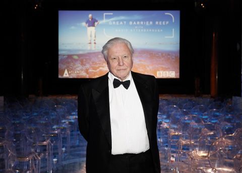 File:David Attenborough Great Barrier Reef screening.jpg