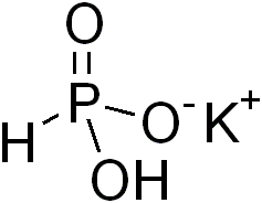 File:Monopotassium phosphite.png