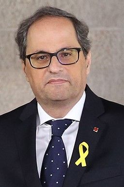 File:Official photo of Quim Torra (cropped).jpg