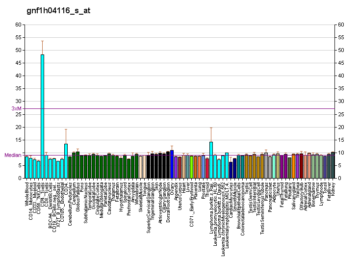 File:PBB GE FHIT gnf1h04116 s at fs.png