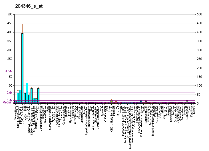 File:PBB GE RASSF1 204346 s at fs.png