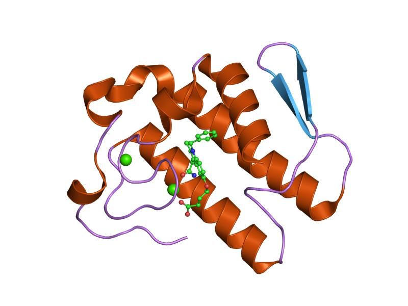 File:PDB 1db5 EBI.jpg