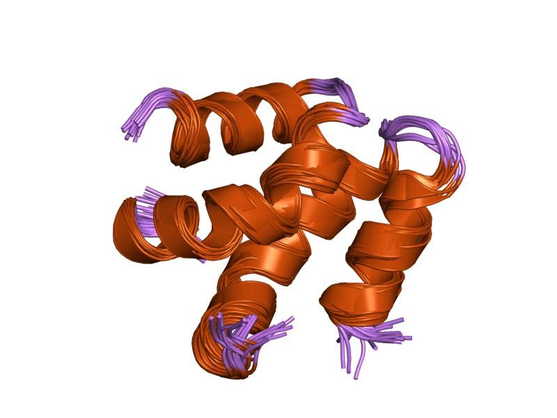 File:PDB 1eci EBI.jpg